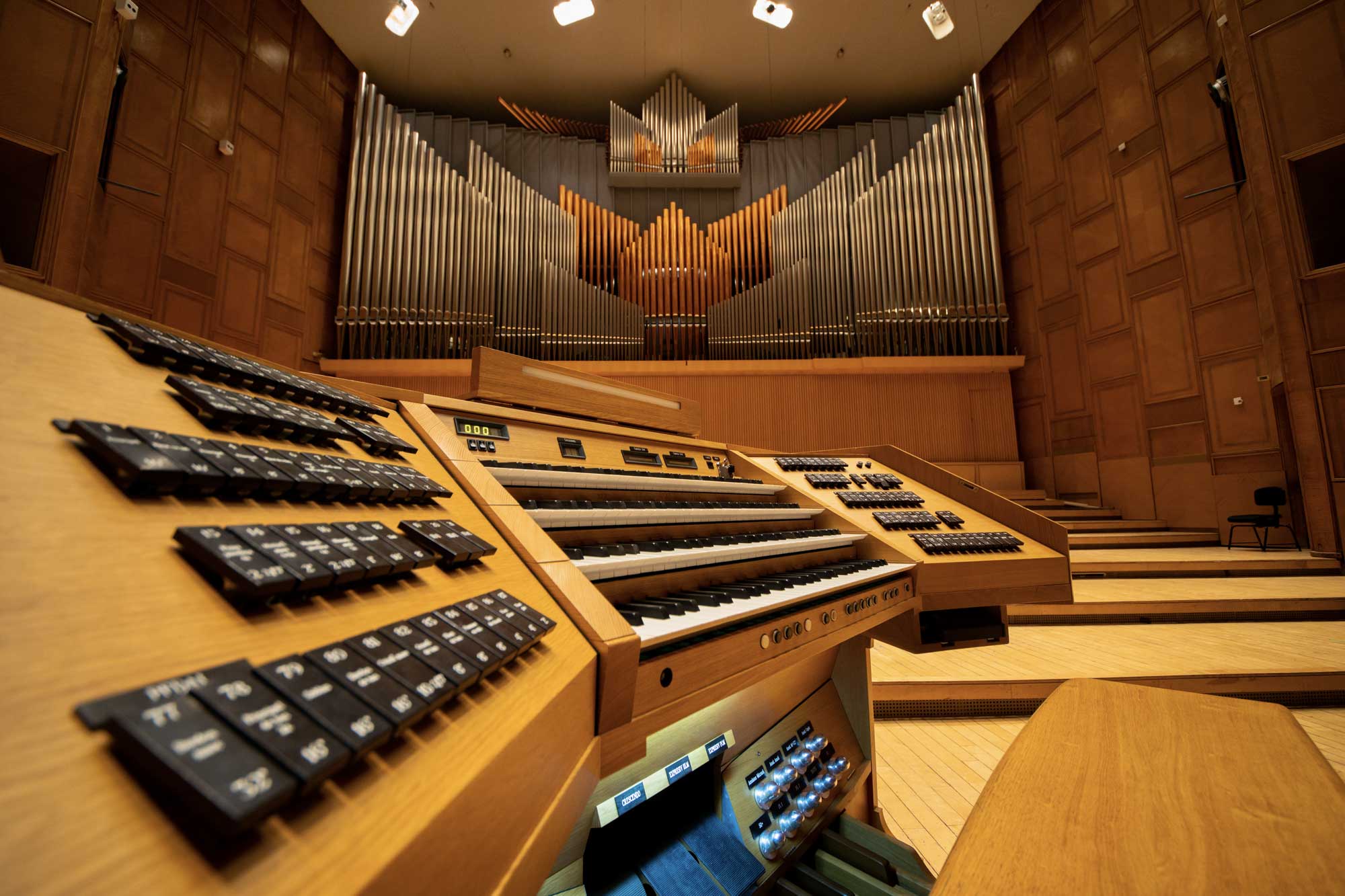 eduard iosif antal organist